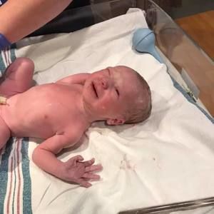 Meet your Posher, Denise lynn